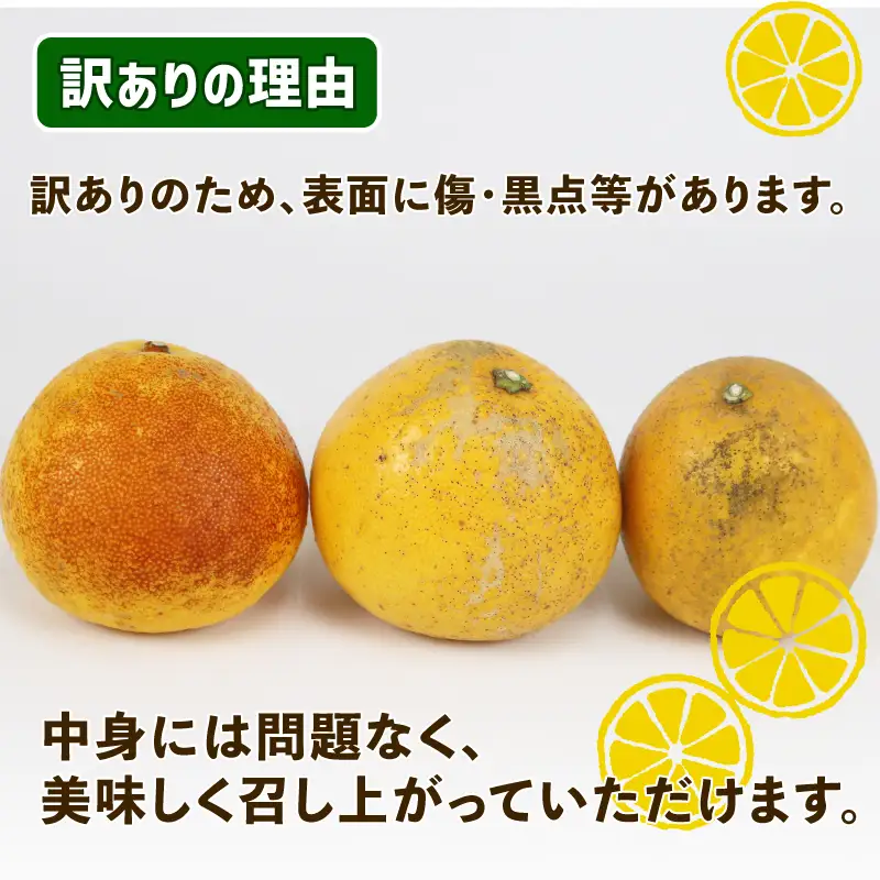 訳あり 河内晩柑 9kg 愛媛みかん まるはま農園 B010-202003