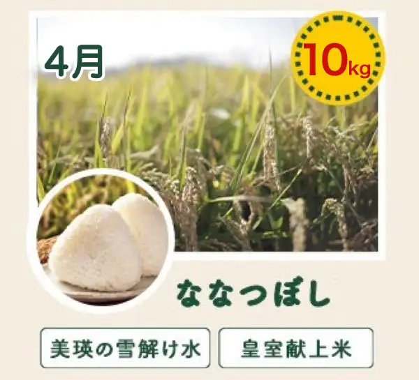 野菜セット 【令和9年産予約受付】 5回 定期便 美瑛の四季 唐松（大） 野菜詰め合わせ