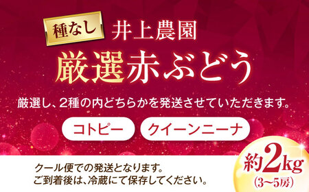 【先行予約】厳選赤ぶどう（種無し） 約2kg 3-5房入 BKAD038 ぶどう