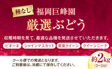 【先行予約】厳選ぶどう詰め合わせ（種無し） 約2kg 3-5房入 BKAD041 ぶどう