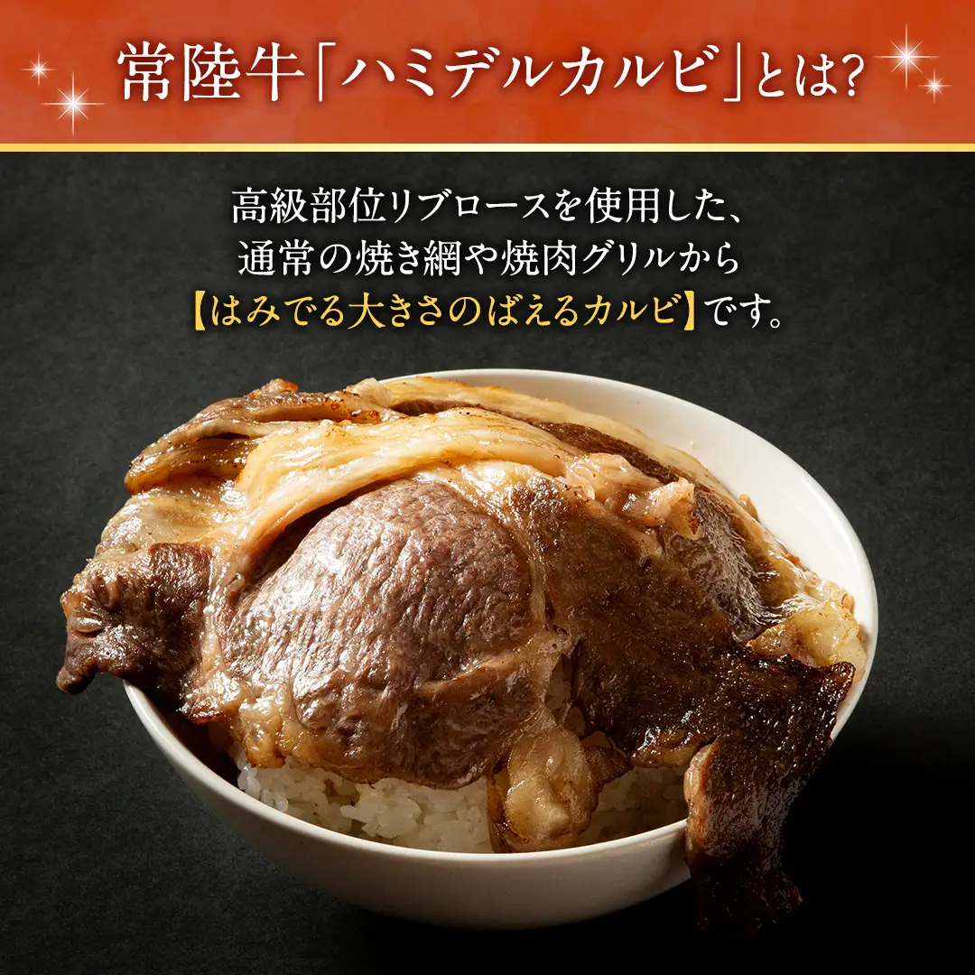 【 スピード発送 】【 常陸牛 】A5 等級 ハミデルカルビ 500g (3～5枚)  (茨城県共通返礼品) 牛肉 サーロイン 焼肉 国産