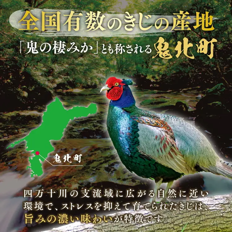 【キジ肉ギフト品】本格きじ料理の素　鬼雉～KIKI～箱入り5パック＜キジ肉 雉 キジ ジビエ とり 鶏肉 団らん ムネ モモ ササミ 秋 冬 熟成 お取り寄せ 加工品 贈答 おうちごはん 愛媛県 鬼北町＞※離島への配送不可
