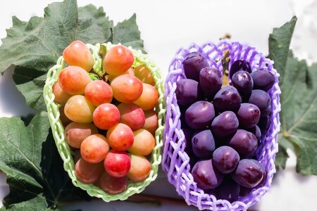 【2026年発送先行予約】南アルプス市産　サンシャインレッド × 富士の輝き 食べ比べセット　約1.0kg（2房） ALPDD023
