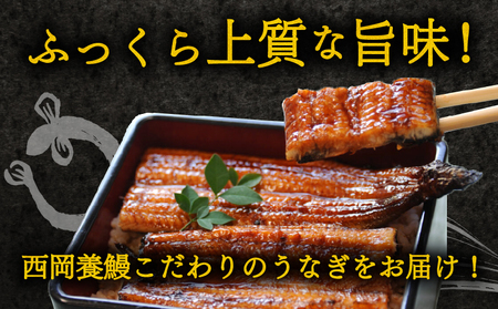 【 うなぎの蒲焼き 】 うなぎの蒲焼 定期便 計20尾 ( 220g × 4尾 × 5回 )
