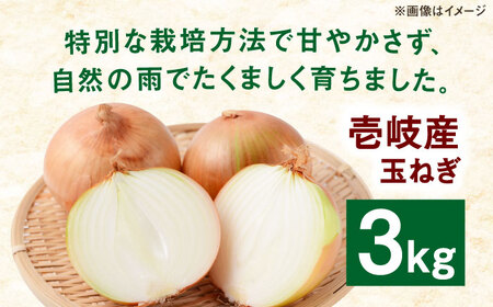 玉ねぎ 3kg [JHC003] タマネギ 野菜