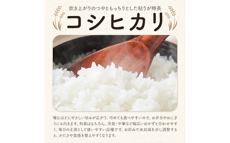 令和7年産 特別栽培米 白米 コシヒカリ 10kg(5kg×2) 
