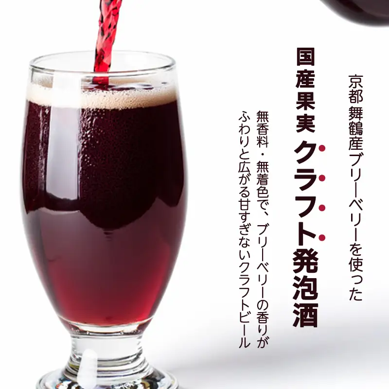 ブルーベリーミライエール 330ml×3本 |  地ビール クラフトビール