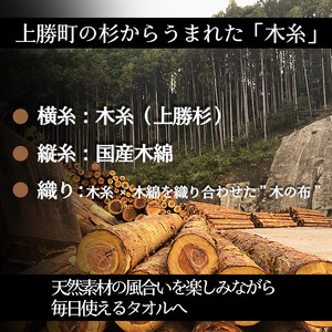 KINOFタオルセット 上勝町 ドリームチーム