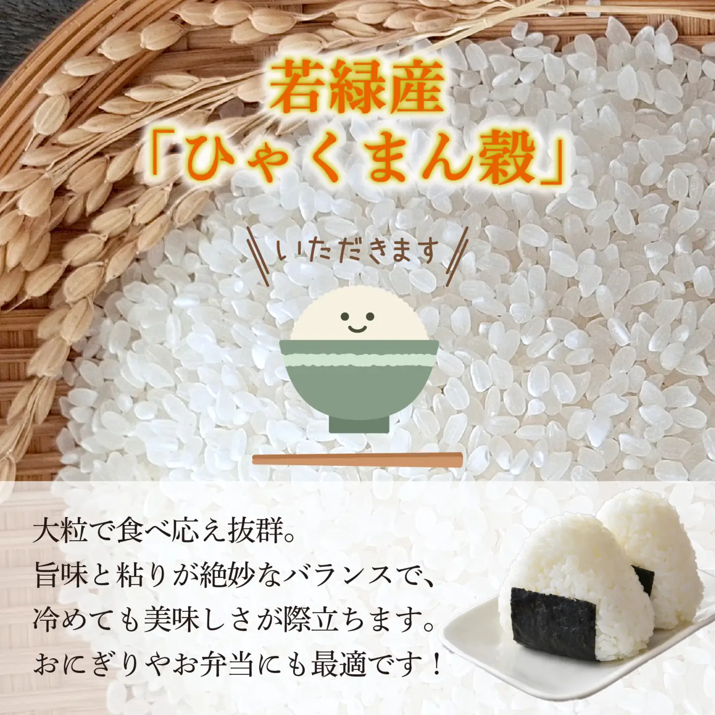 【令和8年産】 ひゃくまん穀 5kg 【2027年1月配送】 | お米 白米 新米