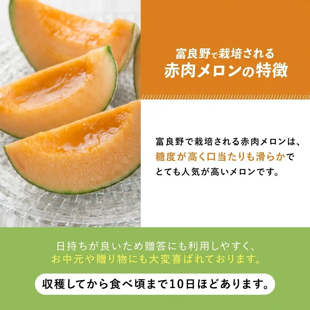 富良野メロン 夏メロン 秋メロン 中山農園 富良野メロン【計2玉】【2回定期便】[先行予約]