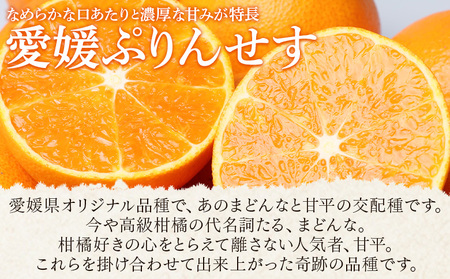 ＜愛媛県西予市産 愛媛ぷりんせす ご家庭用 合計約3kg＞果物 フルーツ 柑橘類 みかん 蜜柑 ミカン オレンジ プリンセス 訳あり わけあり 甘い 交配種 特産品 宇都宮物産 愛媛県 西予市【常温】『2026年3月～4月上旬迄に順次出荷予定』UUB0095