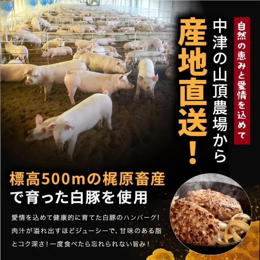 冷凍 ハンバーグ 生8個入り ( 2パック ) | お肉 肉 豚肉 白豚 お惣菜 惣菜 おかず 簡単調理 国産 九州産 大分県産 大分県 中津市