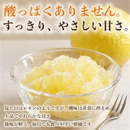 はるか みかん 訳あり 約4kg(益城町)【1723661】