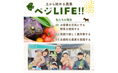 令和7年産 コシヒカリ 5kg ＆ 旬の野菜 10品
