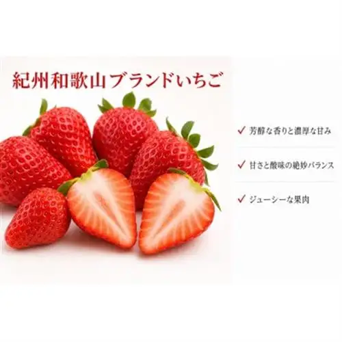 紀州和歌山ブランドいちご「紀の香」約250g×4P【配送不可地域：離島・北海道・沖縄県】【1722513】
