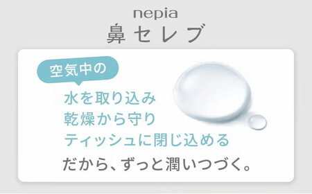 【定期便】3回発送 選べる発送間隔 ネピア鼻セレブティシュ3箱×10パック | 日用品 消耗品 必需品 ティッシュ ボックスティッシュ 箱ティッシュ ストック 鼻セレブ 保湿 花粉症 花粉 アレルギー 防災 備蓄 まとめ買い 全国 発送 一人暮らし nepia ネピア