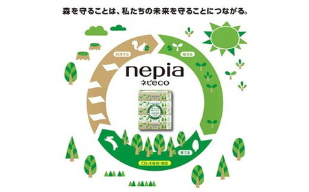 【定期便】3回発送 選べる発送間隔 ネピア ネピecoティシュ200組　5箱×12パック | 日用品 消耗品 必需品 ティッシュ ボックスティッシュ 箱ティッシュ ストック 花粉症 花粉 防災 備蓄 まとめ買い 全国 発送 eco サステナブル 一人暮らし nepia ネピア