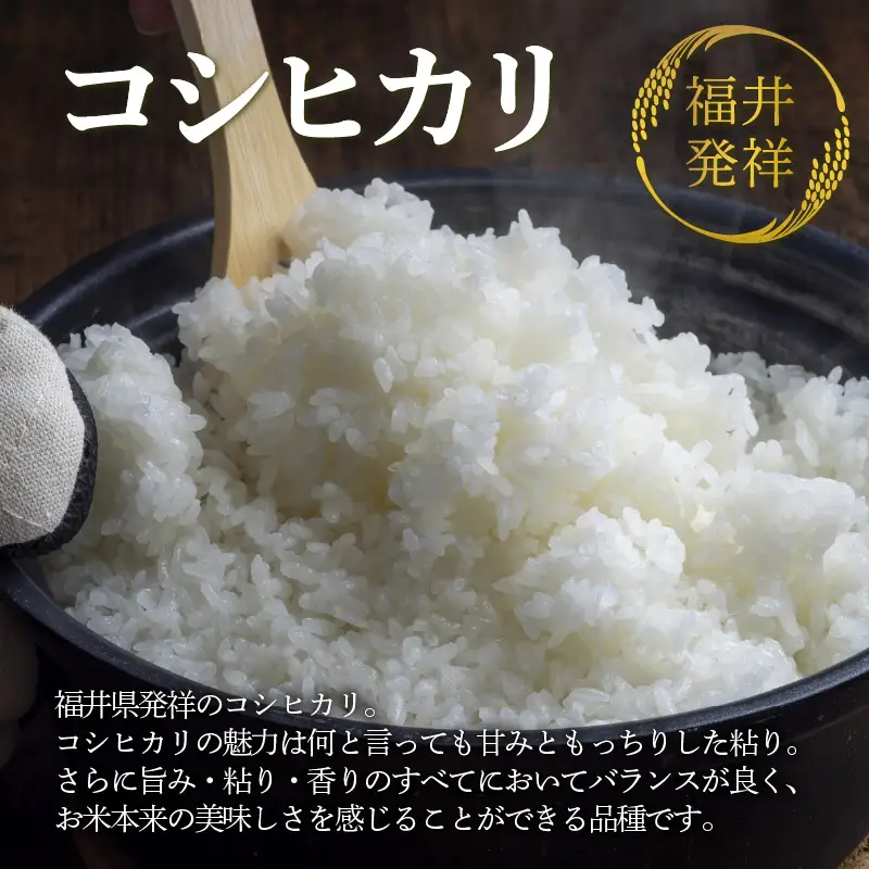 【先行予約】【令和8年産 新米】コシヒカリ 精米 10kg（5kg×2袋）JGAP認証米 / 米 10キロ 福井県産 ブランド米 一等米 ご飯 白米 お米 コメ 新鮮 小分け ※2026年10月上旬より順次発送 [aw094-b003]