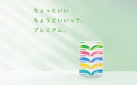 【定期便】2回発送 選べる発送間隔 ネピアティシュ180組 5箱×12パック | 日用品 消耗品 必需品 ティッシュ ボックスティッシュ 箱ティッシュ ストック 花粉症 花粉 防災 備蓄 まとめ買い 全国 発送 一人暮らし nepia ネピア プレミアム