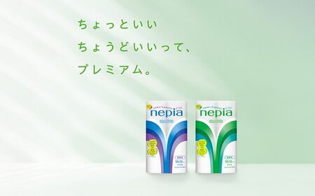 【定期便】2回発送 選べる発送間隔 ネピアトイレットロール12ロールシングル×6パック | 日用品 消耗品 必需品 ティッシュ トイレットペーパー シングル 無香料 ストック 花粉症 花粉 防災 備蓄 まとめ買い 全国 発送 一人暮らし nepia ネピア プレミアム