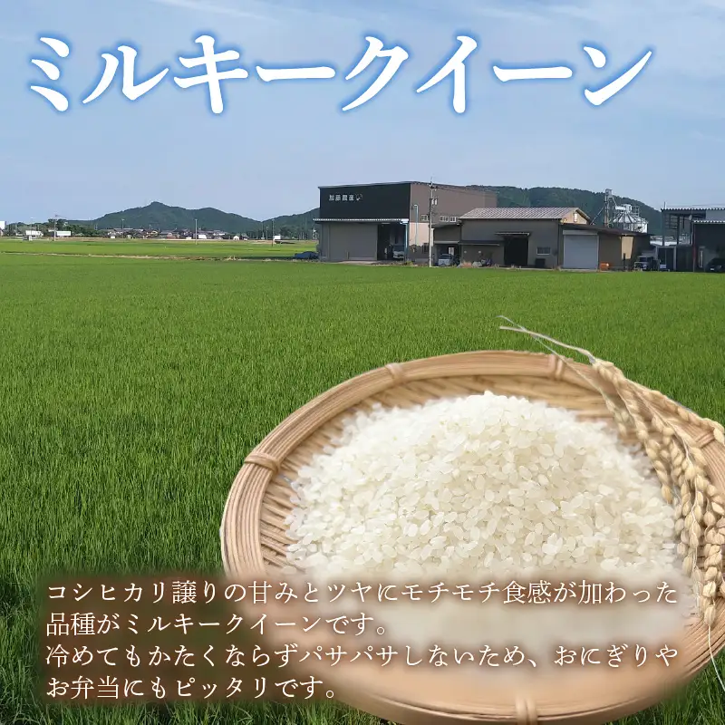 【先行予約】【令和8年産 新米】《定期便6回》ミルキークイーン 精米 10kg（5kg×2袋) JGAP認証米 / 米 10キロ 福井県産 ブランド米 一等米 ご飯 白米 お米 コメ 新鮮 小分け ※2026年10月上旬より順次発送 [aw094-k003]