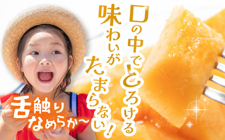 【先行予約】農家直送 砂丘地栽培 赤肉メロン 福井県産 マルセイユメロン 3Lサイズ 1玉【2027年6月上旬以降順次発送予定】 [A-21803]