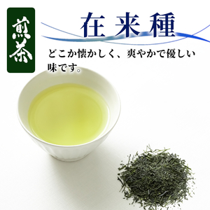 農薬不使用！煎茶 在来種 100g 常磐園 白川茶 美濃白川茶 日本茶 緑茶 煎茶 茶葉 お茶 一番茶 春摘み リーフ 国産 お試し 岐阜県 東白川村 希少