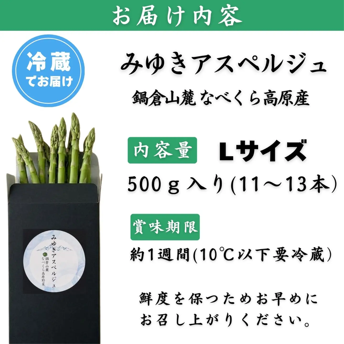 【令和9年産先行予約】アスパラガス みゆきアスペルジュ Lサイズ 500g入り(11〜13本)《出荷時期：2027年5月中旬頃〜》株式会社ForestDoor  (Ce-002)