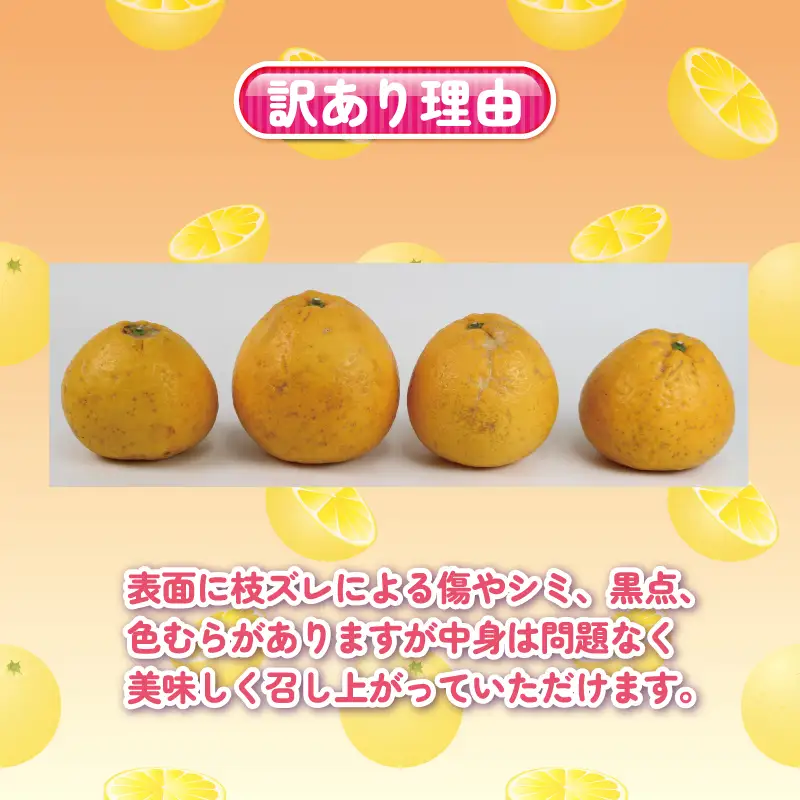 訳あり 河内晩柑 約 5kg くり房 柑橘 B010-204010