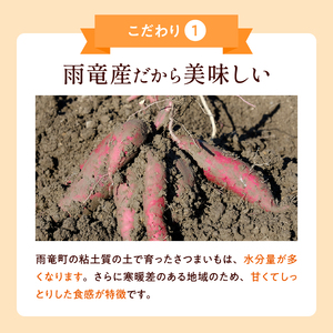 【数量限定】北海道雨竜町産 さつまいも 「栗かぐや」M-Lサイズ 1kg 大きめサイズ 産地直送 北海道 国産 おやつ お菓子作り 料理