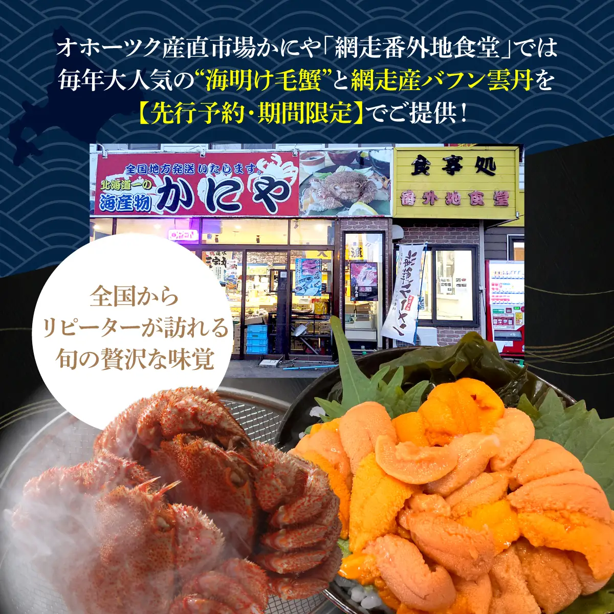【先行予約】網走流氷海明けの活〆茹で毛蟹2尾で約1kgと網走産バフンウニ1折50gセット冷蔵便届け【2027年6月～順次発送開始予定】 ABAO134