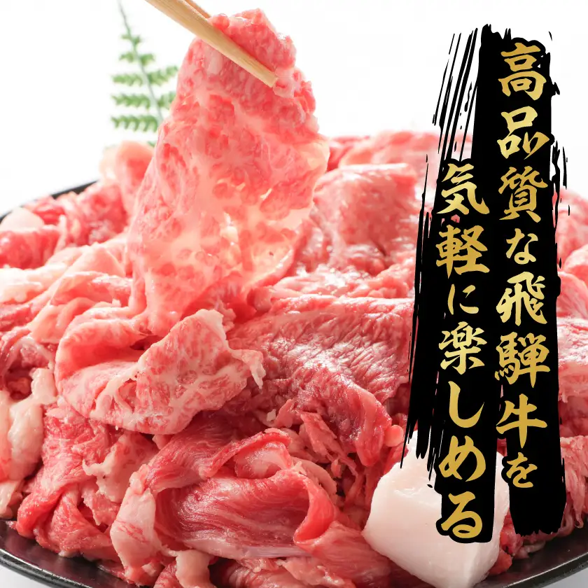【訳あり】飛騨牛　切り落とし(コマ切れ)　1kg【配送不可地域：離島】【1725164】