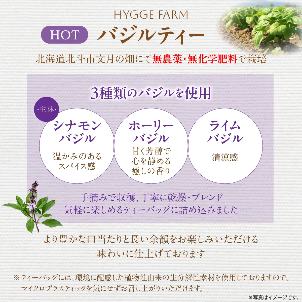 バジルティー【HOT】 1袋 Basil Tea From Hygge Farm HOKBB001