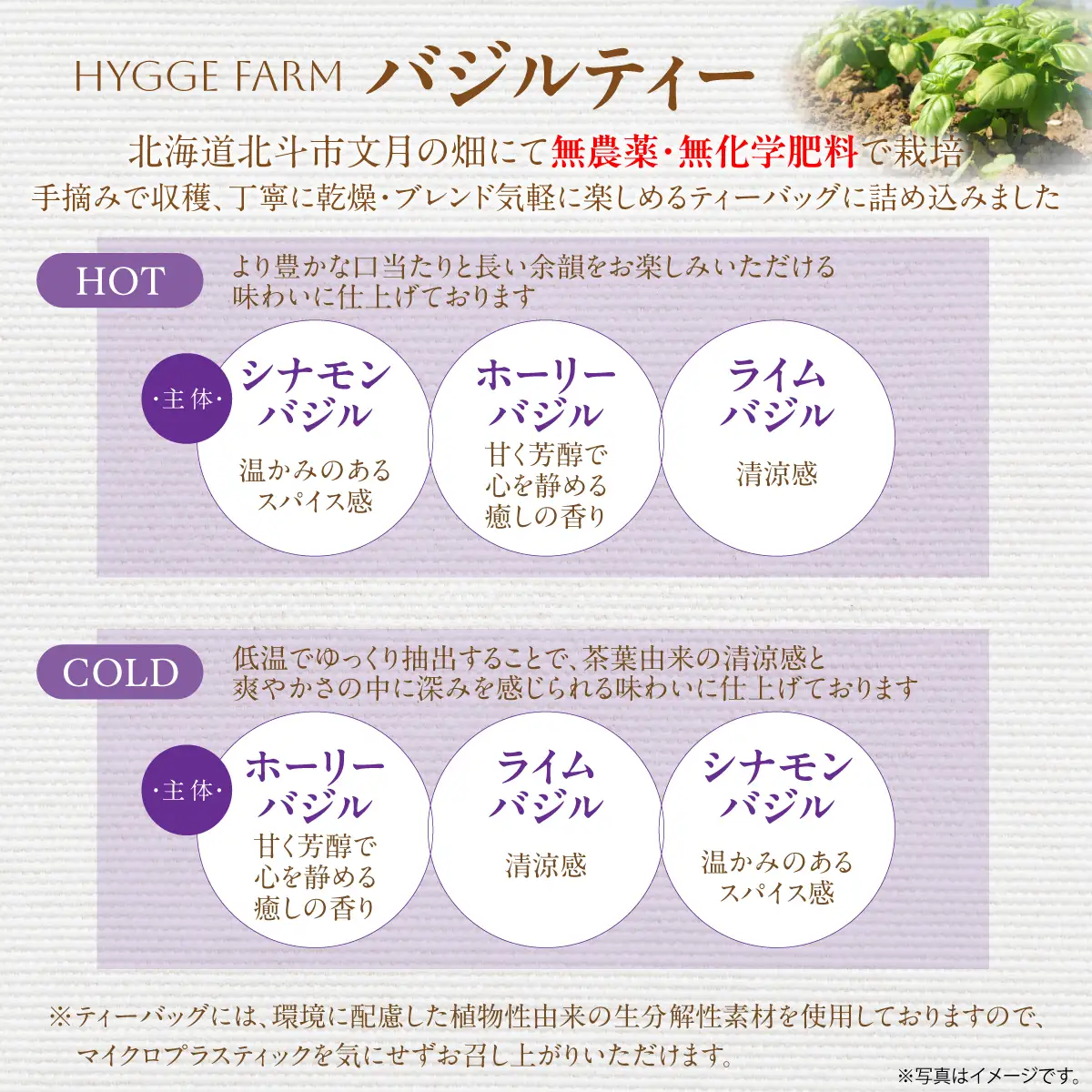 バジルティー【HOT】&【COLD】飲み比べセット From Hygge Farm HOKBB004