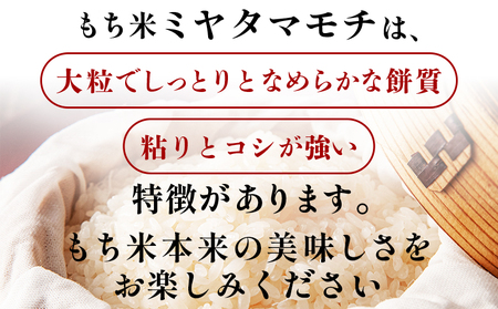 もち米(ミヤタマモチ) 高知県産 4kg 先行受付 もち米 at-0070