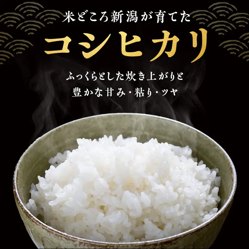 【最短3日配送】新潟県産 コシヒカリ  4kg 新潟県 新潟市産 令和7年産 お米 精米 米 ご飯 送料無料