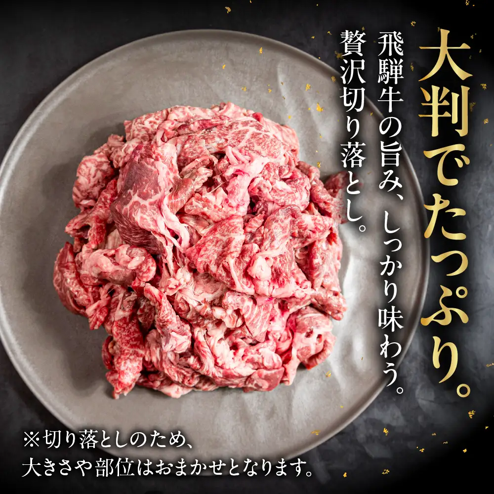 飛騨牛 切り落とし 200g×5袋 　計1kg【22-47】