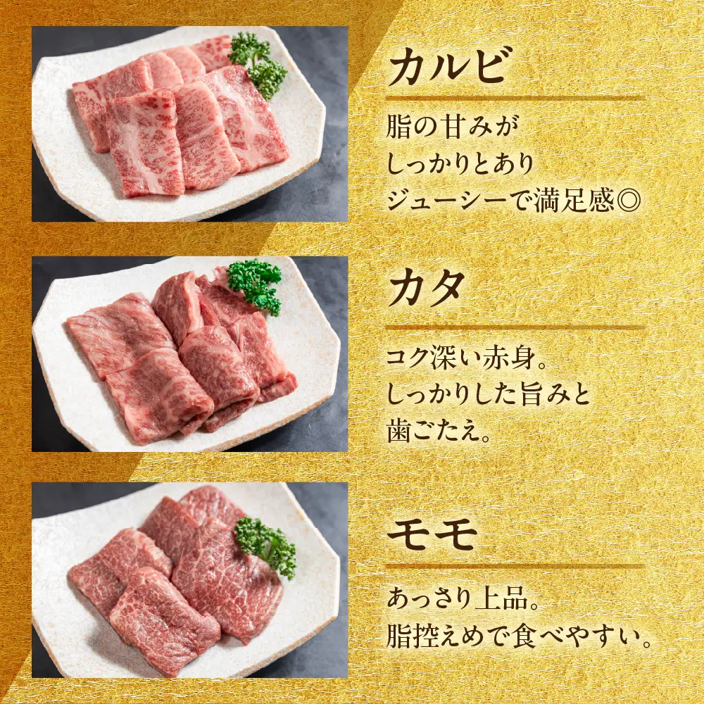 飛騨牛 焼肉 5種 食べ比べセット（各100g）計500g （カルビ・肩・モモ・ロース・トモサンカク）【22-53】