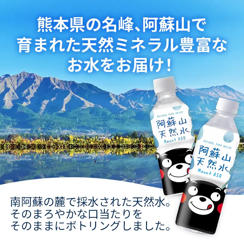 熊本のおいしいお水 阿蘇山天然水 500ml×24本（1ケース）（共通返礼品・御船町） - 飲料水 ミネラルウォーター 軟水 防災 備蓄 ローリングストック【価格改定】
