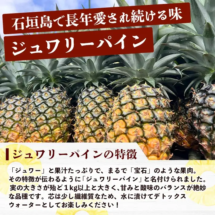 《2027年6月以降順次発送》お試し用 蜜香の極 ジュワリーパイン 2玉 約1.6kg