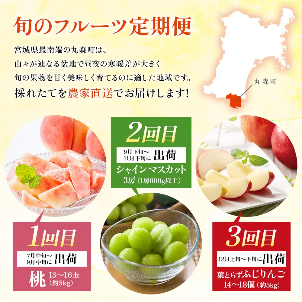 【先行予約】《採れたてを農家直送》 宮城県丸森町産 フルーツ定期便 コース2 （桃・シャインマスカット・りんご）【48008】