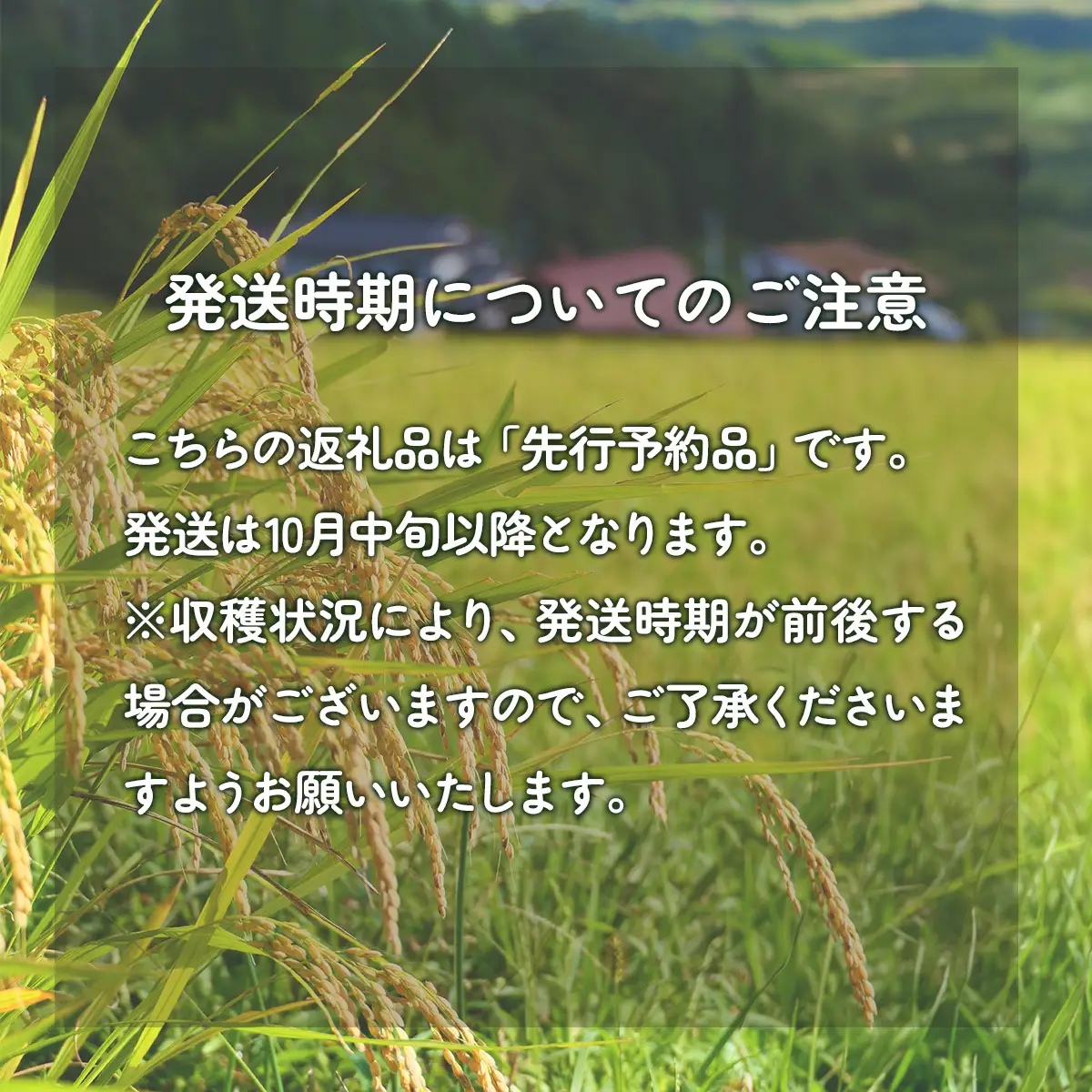【先行予約/令和8年産 新米】福島会津産・北山薬師米こしひかり2kg(200m高地栽培） KBAG007