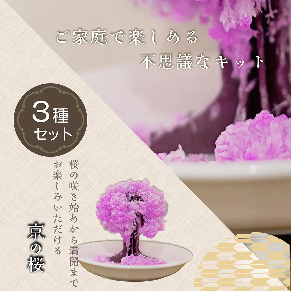 「京の桜」「京の盆栽」「京の樹氷」3種セット 紙 インテリア 日用雑貨 おしゃれ ギフト 工作 自由研究