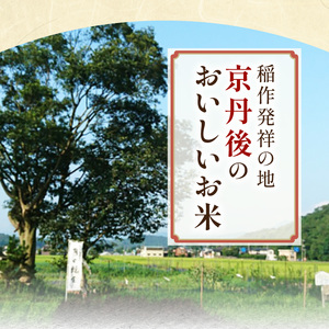 【3ヶ月定期便】2026年産 京都・京丹後峰山 特別栽培米コシヒカリ 10kg 【白米】 1等米 検査済証付　お米 精米 お弁当 おにぎり 京都府産 白米 特別栽培 一等米 ふるさと納税 米 定期便 生産者応援 農家応援