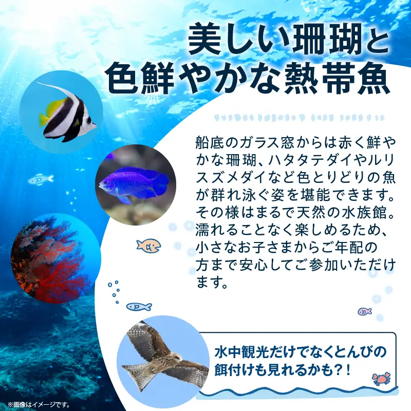 マリンビューワーにちなん 乗船券 (大人券) チケット_A101-25