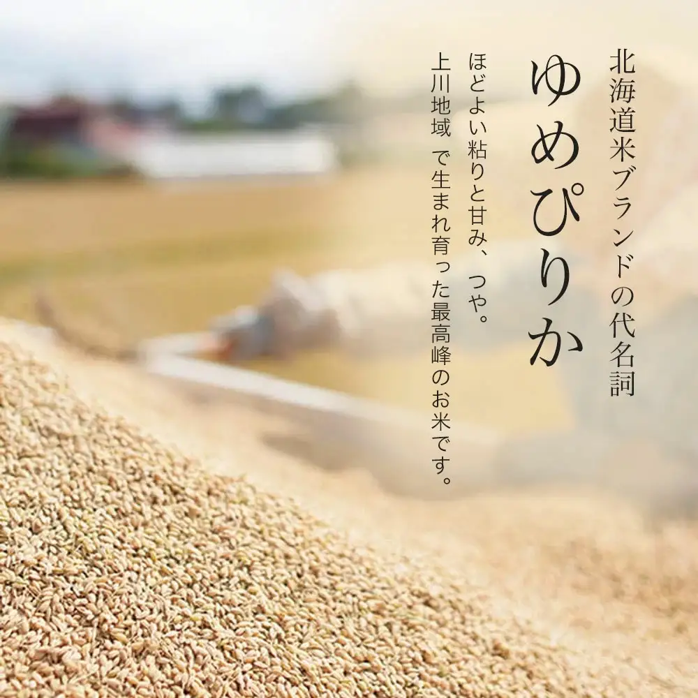 【12回定期便】白米 5kg ゆめぴりか 皇室献上米 精米 新米 ブランド米 定期便 