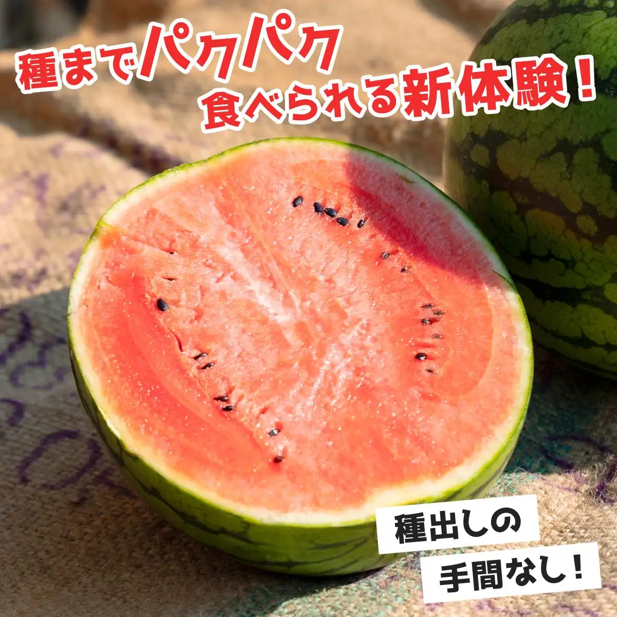 ＜先行予約＞北海道伊達産 小玉スイカ "ピノ・ガール" 【tom-001】