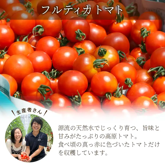 予約品※2026年7月～8月発送 フルーツのように甘い フルティカトマト 2kg 令和7年度産 ※予約商品※ 割れ保障付 数量限定 高評価 トマト 中玉 野菜 人気 新鮮 産地直送 甘い 高糖度 完熟 リコピン ビタミン 美容 美肌 ミニトマト 7000円 7,000円