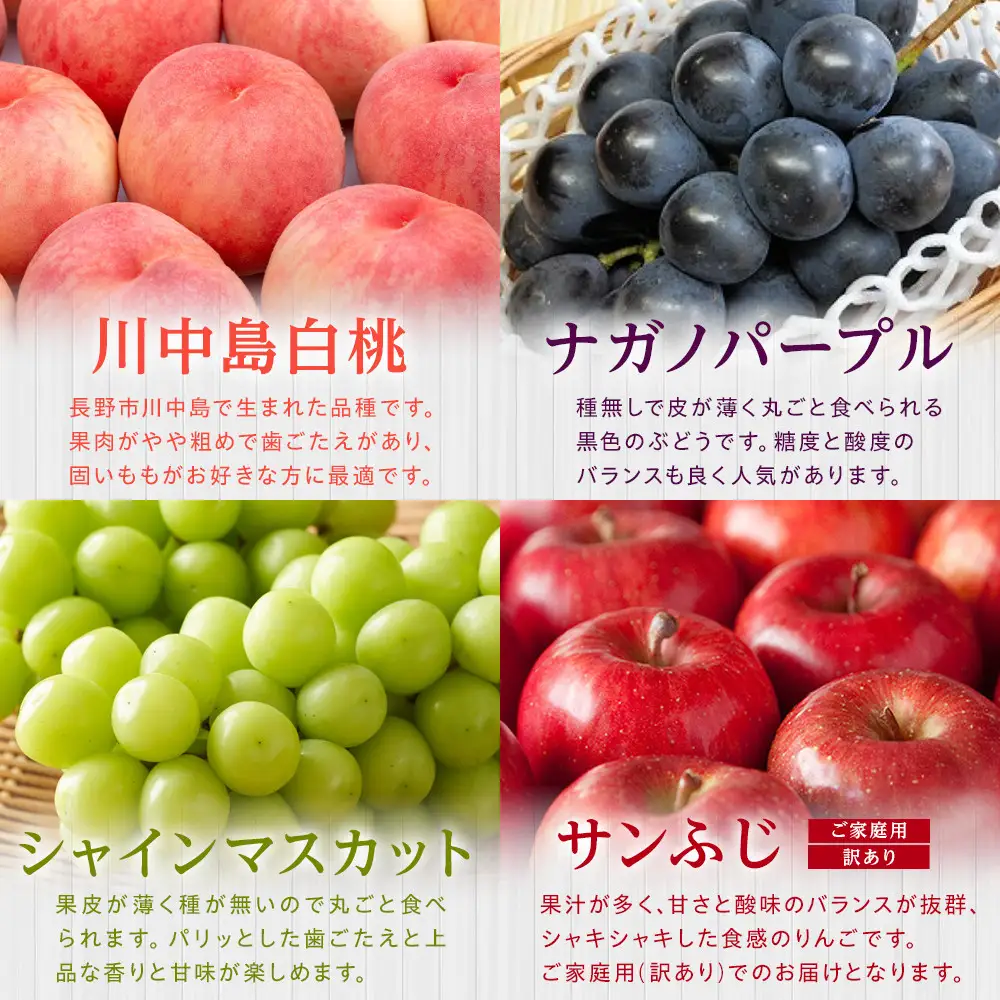 金オ岡村青果株式会社 長野市産 【先行予約】フルーツ定期便（川中島白桃・ナガノパープル・シャインマスカット・サンふじ） 長野市 | ぶどう 桃 りんご ぶどう