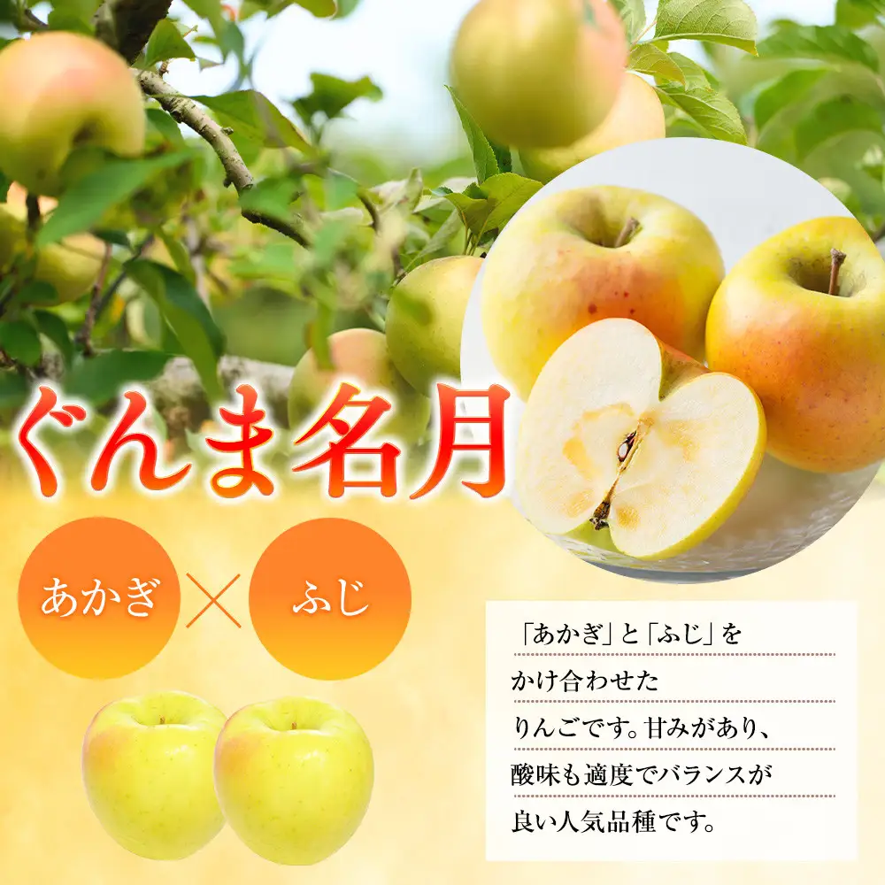 前島農家 ぐんま名月約5kg（12個～18個） | りんご フルーツ 旬 りんご